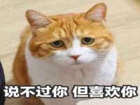 上海市宝山区梦洁水产经营部