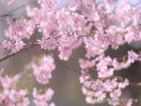 上海市宝山区梦洁水产经营部