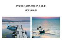 上海市宝山区梦洁水产经营部
