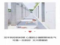 上海市宝山区梦洁水产经营部