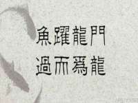 上海市宝山区梦洁水产经营部