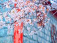 上海市宝山区梦洁水产经营部
