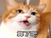 上海市宝山区梦洁水产经营部
