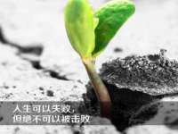 上海市宝山区梦洁水产经营部
