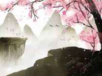 上海市宝山区梦洁水产经营部