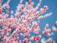 上海市宝山区梦洁水产经营部