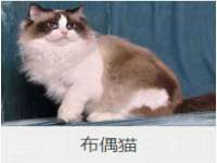 上海市宝山区梦洁水产经营部