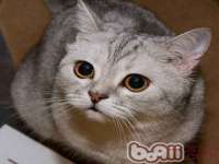 上海市宝山区梦洁水产经营部