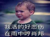 上海市宝山区梦洁水产经营部