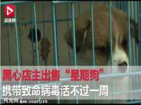 上海市宝山区梦洁水产经营部