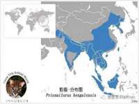 上海市宝山区梦洁水产经营部