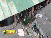 上海市宝山区梦洁水产经营部