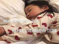 上海市宝山区梦洁水产经营部