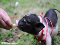 上海市宝山区梦洁水产经营部