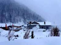 上海市宝山区梦洁水产经营部
