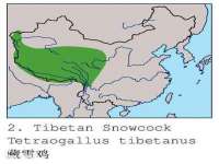 上海市宝山区梦洁水产经营部