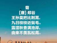 上海市宝山区梦洁水产经营部