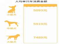 上海市宝山区梦洁水产经营部