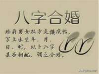 上海市宝山区梦洁水产经营部