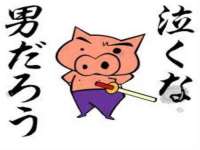 上海市宝山区梦洁水产经营部