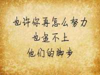 上海市宝山区梦洁水产经营部
