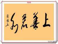 上海市宝山区梦洁水产经营部