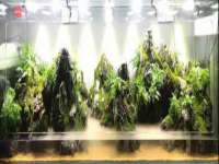 上海市宝山区梦洁水产经营部