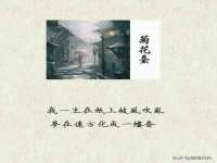 上海市宝山区梦洁水产经营部