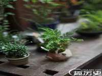 上海市宝山区梦洁水产经营部