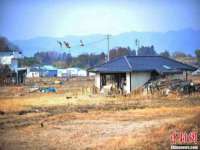 上海市宝山区梦洁水产经营部